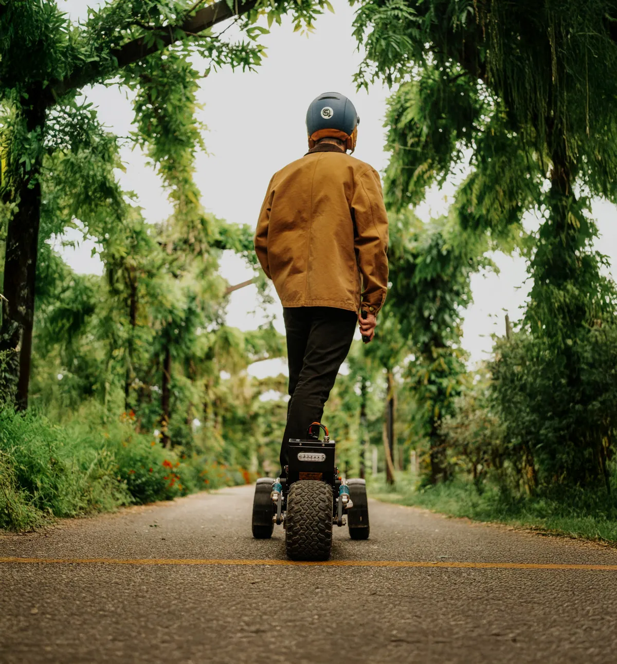 Rider seen from behind on a Stern' Urban on a tree-lined avenue