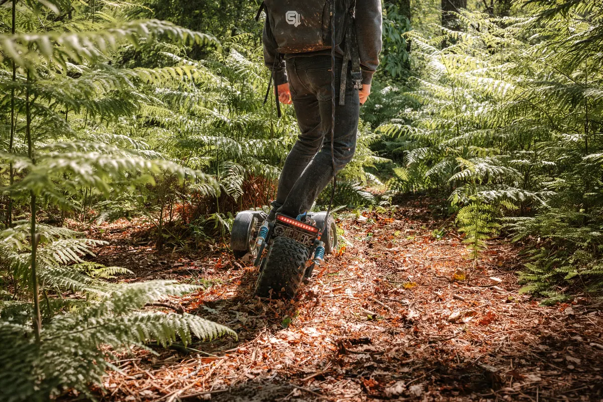 Rider on a Stern' on a red earth path lined with ferns