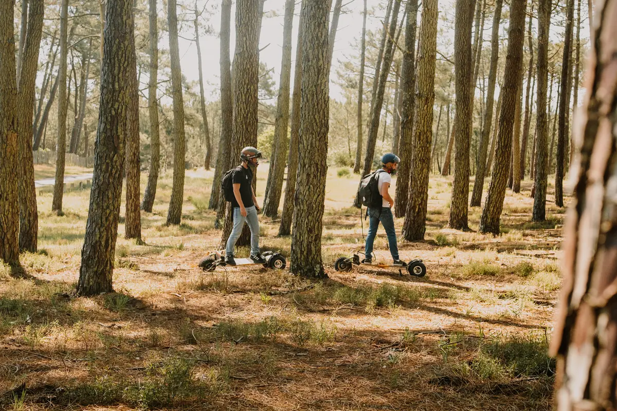 Two riders standing on their Stern' boards in a pine forest, in the sunshine