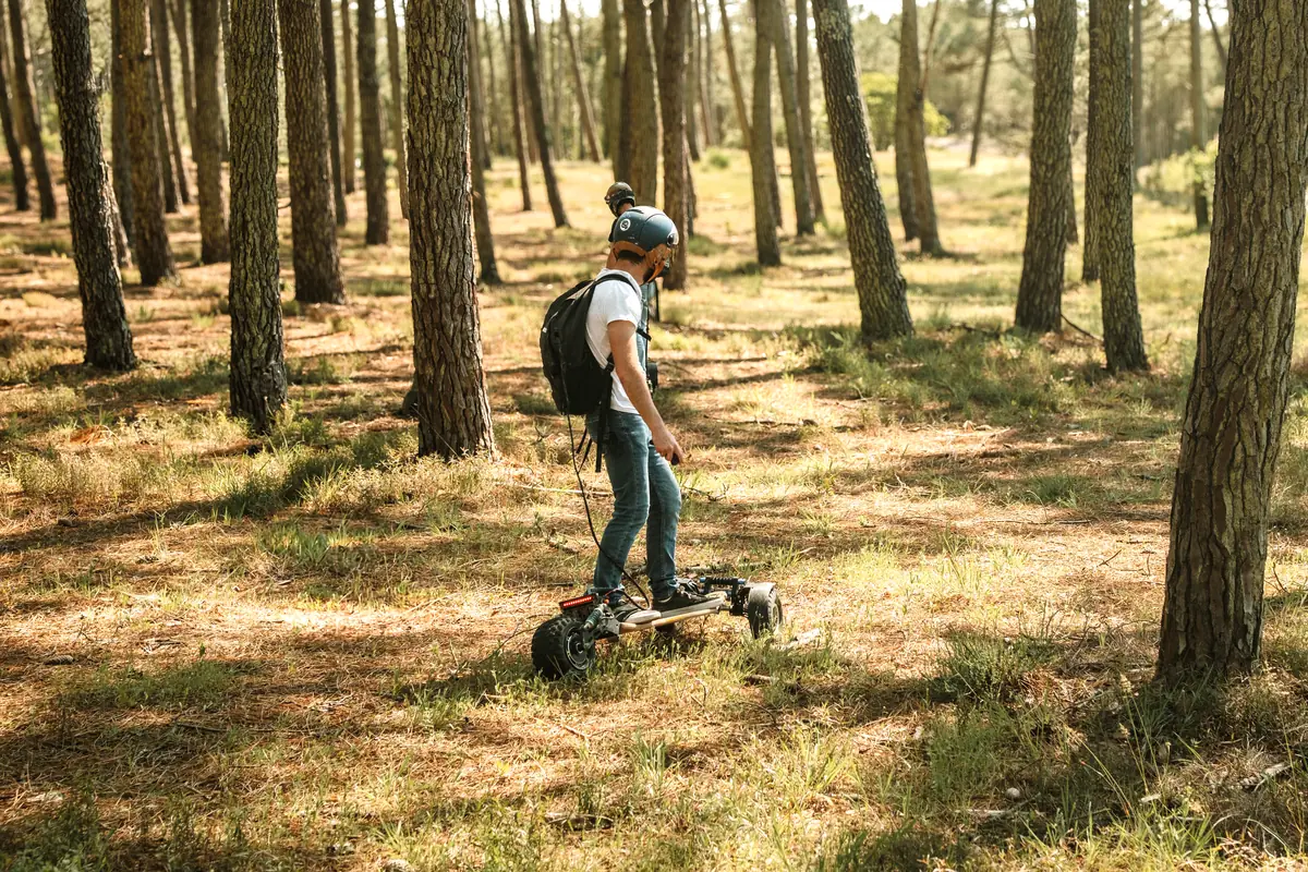 Rider with a backpack battery on a Stern', among the pines