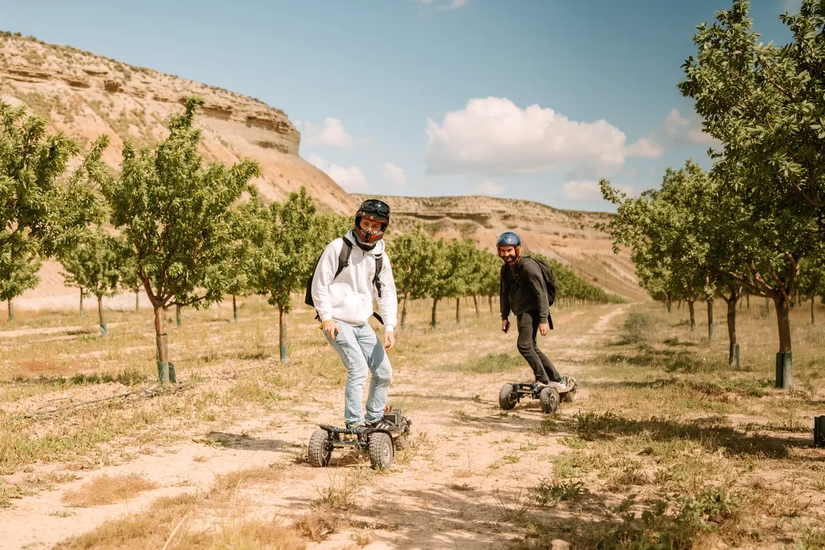 Two riders on their Stern' boards between the rows of a young orchard